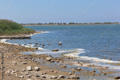 Lake Liman within the boundaries of the village of Olenevka, Black Sea region, Crimea