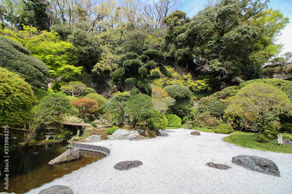 Japanese garden in zen temple of Kamakura, Japan