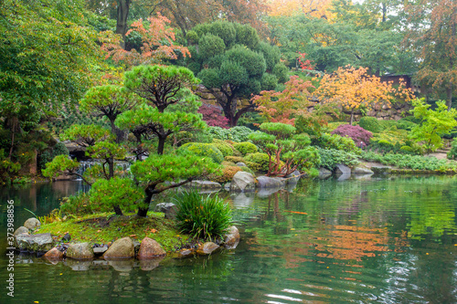 Pond in japanese garden of Kaiserslautern, Germany . KOI fish and amazing orange autumn