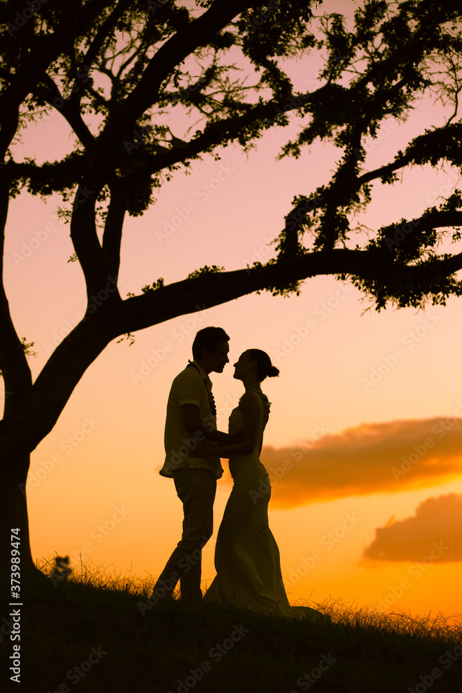 Silhouette of bride and groom kissing under a tree at sunset. 