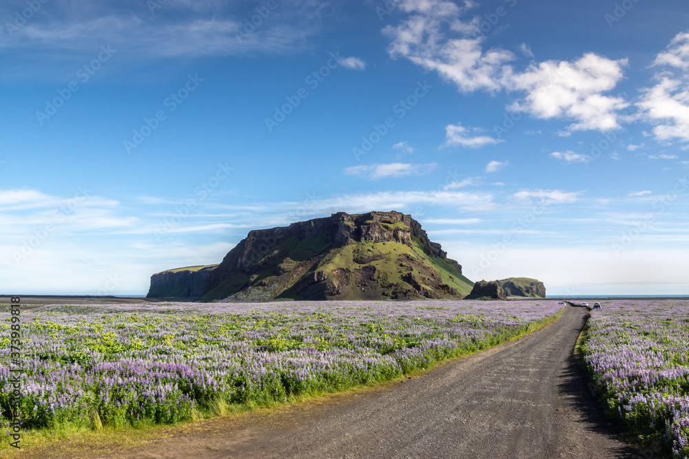 Φωτογραφία Hjorleifshofdi a dry Island on the south Coast of Iceland