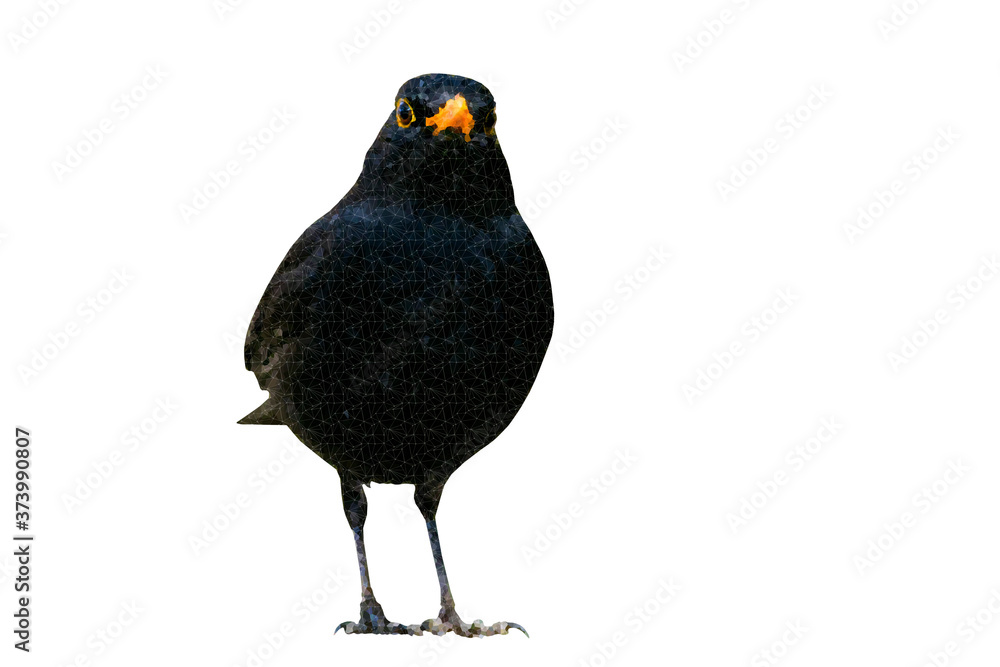 Fototapeta premium Polygonal bird image. Geometric low poly art. White background. 