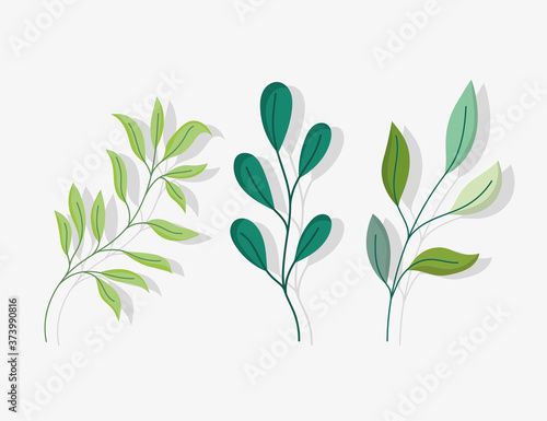 foliage branches leaves nature botanical icons