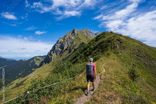 Cuadro en lienzo Frankreich im Sommer  Portes du Soleil