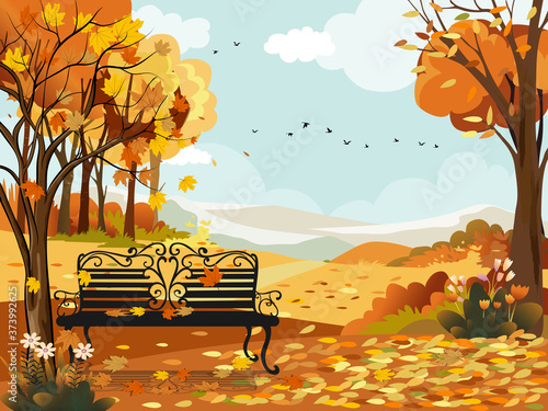 Autumn landscape wonderland forest with bench under the tree,Mid autumn natural in orange foliage,Fall season with beautiful panoramic view  maples leaves falling from trees