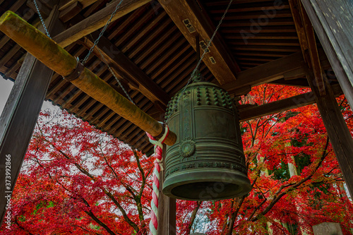鮮やかな紅葉と釣鐘
