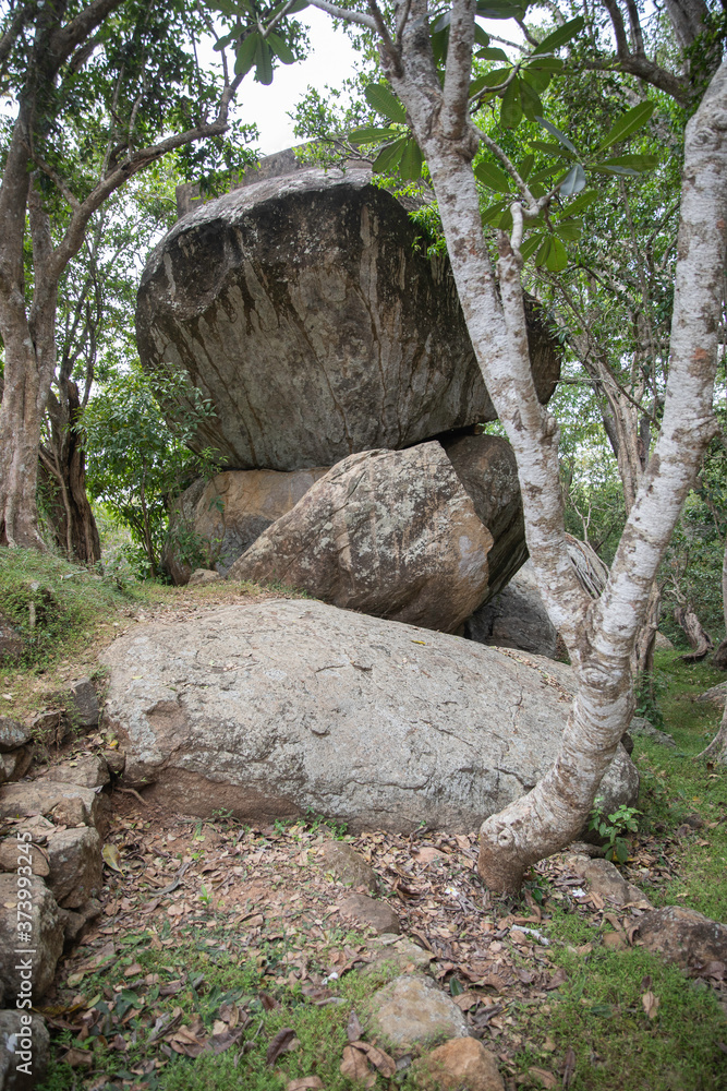 Sri Lanka, temples and landscape around Sigiria and the Liobs Rock Sri Lanka, temples and landscape around Sigiria and the Liobs Rock