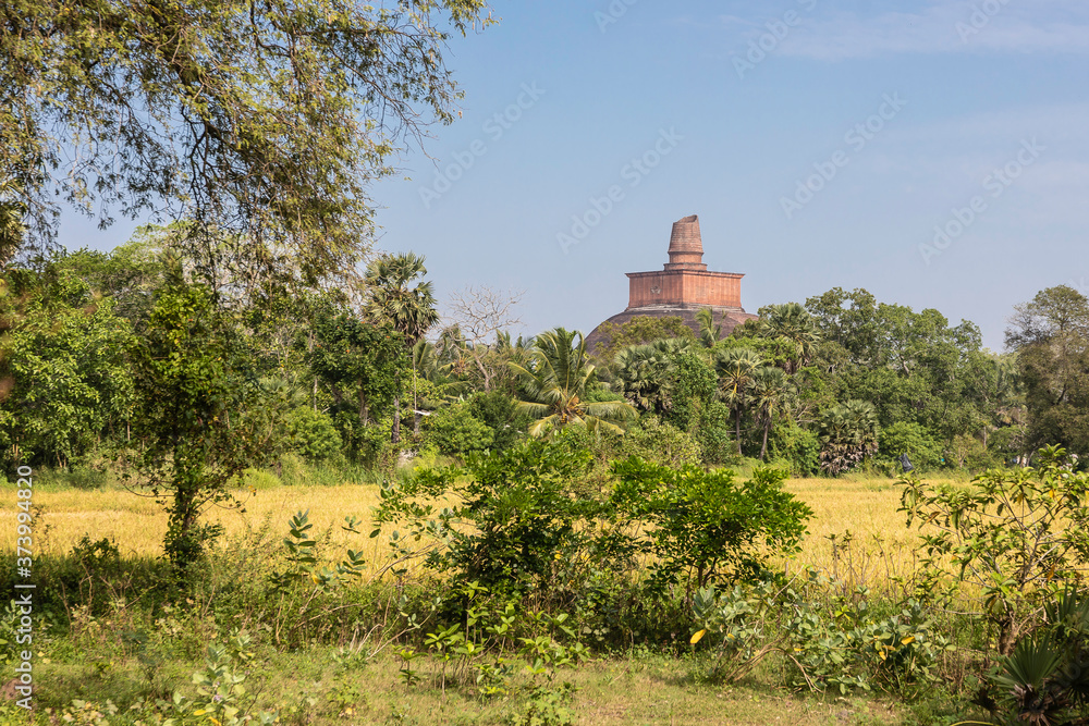 Sri Lanka, temples and landscape around Sigiria and the Liobs Rock Sri Lanka, temples and landscape around Sigiria and the Liobs Rock