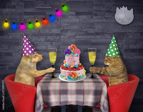 A cat with a dog in party hats together are eating a holiday two tiered cake and drinking wine at a table in a restaurant.