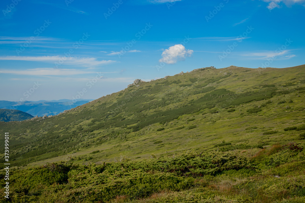 Morning sunny day is in mountain landscape. Carpathian, Ukraine, Europe. Beauty world. Large resolution