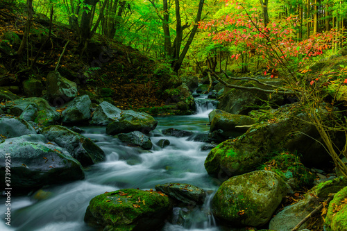 秋の美しい渓流