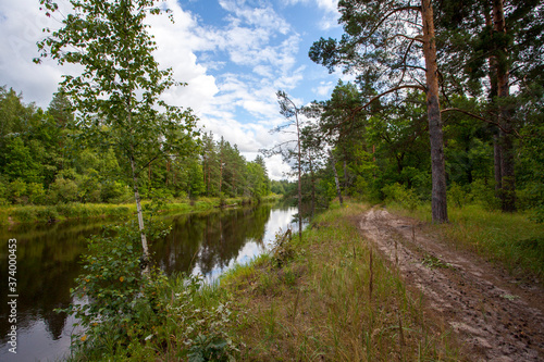 River in the forest