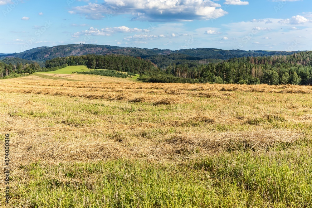 Agricultural landscape in the Czech Republic. Grain harvest. Mown field. Straw in the field. Summer day on the farm.