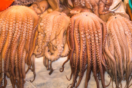 Octopus for sale at Jagalchi Fish Market in Busan  South Korea.