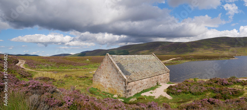 фотографія panoramic view of a boathouse by the side of a lake, purple heather at the first