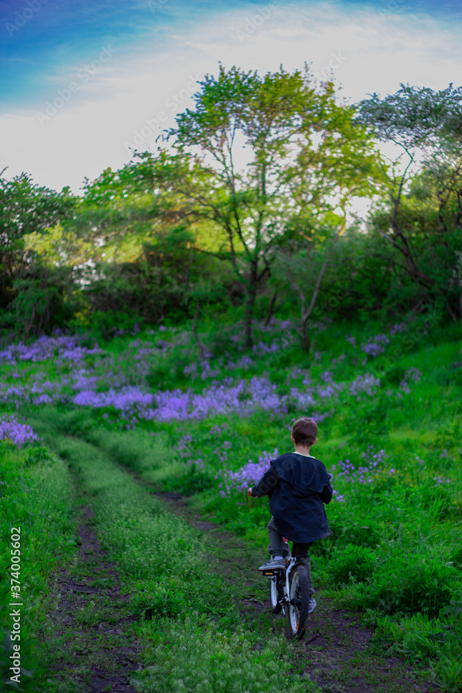 A boy on a Bicycle rides along a forest road strewn with flowers and green grass