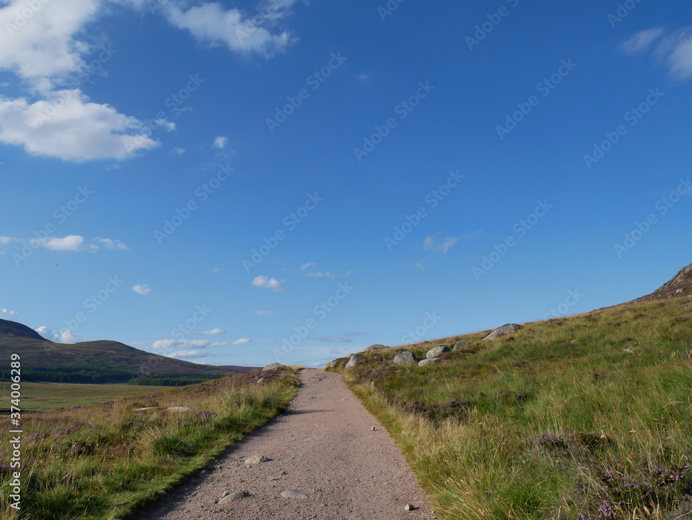 path with green vegetation and  heather alongside, hills at the distance, blue sky with small white clouds