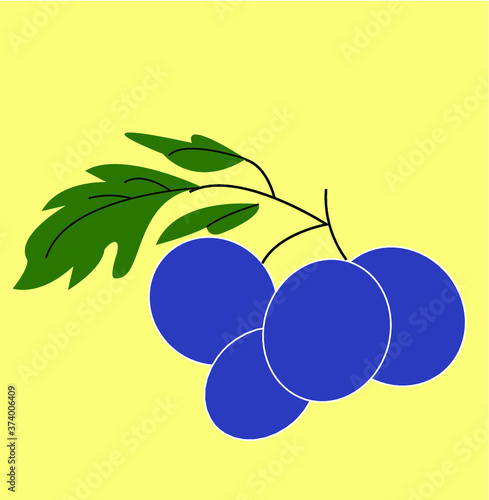 Plum, prune