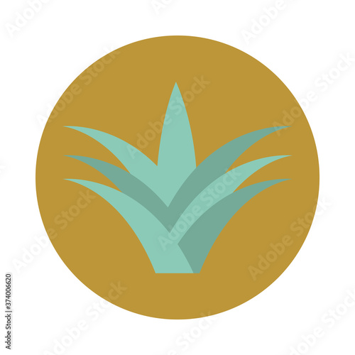 aloe vera plant nature block and flat icon white background