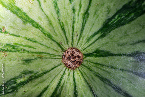 Close up of watermelon fruit, abstract , macro photography