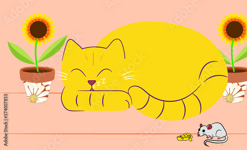 Sleeping cat + mouse , girasol , maceta