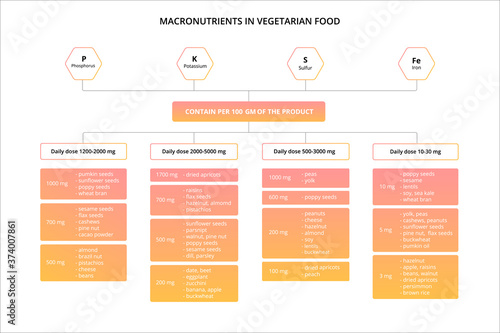 Nutrients in vegetarian food. Conditional scheme of minerals.