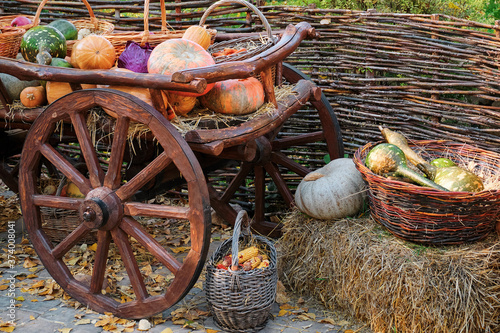 Russia. Kamensk-Shakhtinsky Rostov region. Old Village. The territory of the landscape park "Loga". October 14, 2018