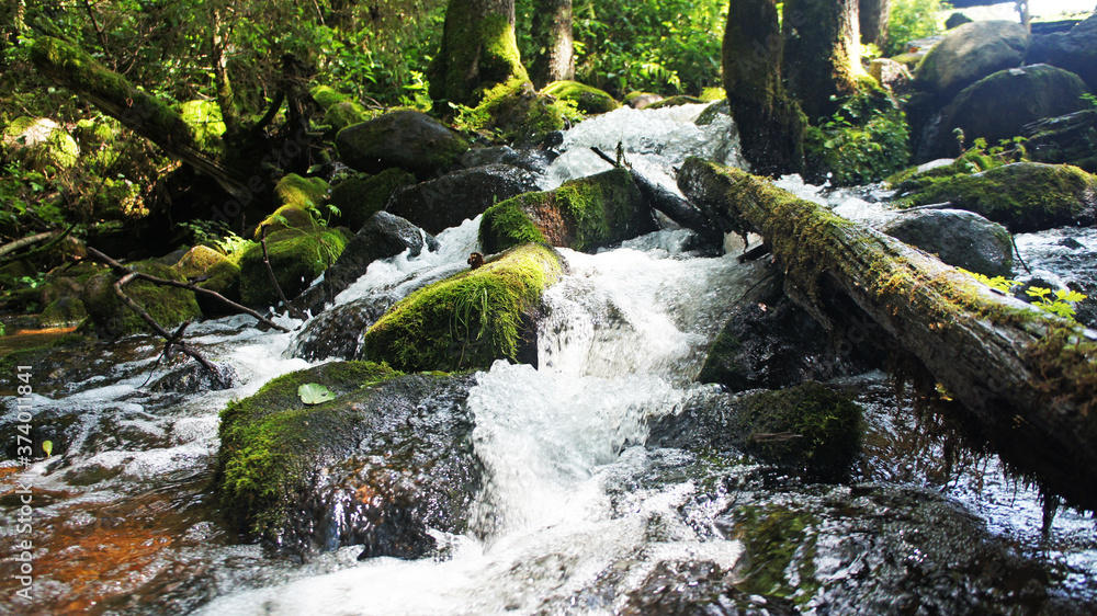 Obraz premium Mountain forest river with moss-covered stones