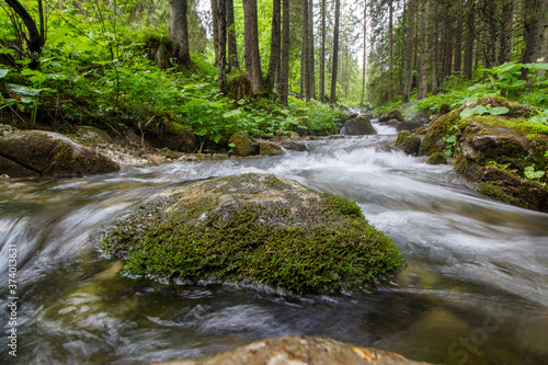 The Small Meadow Valley - Tatry - Zakopane  