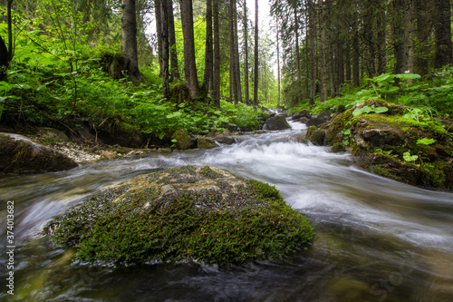 The brook in the Small Meadow Valley - Tatry - Zakopane