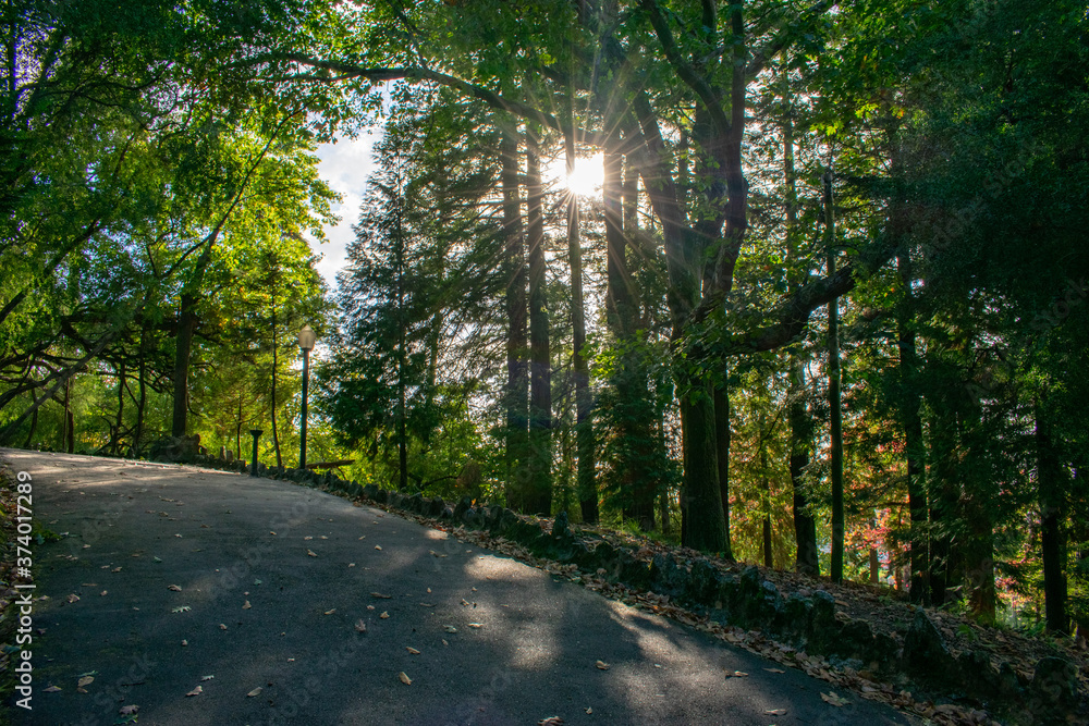 Fototapeta premium Be the light you seek