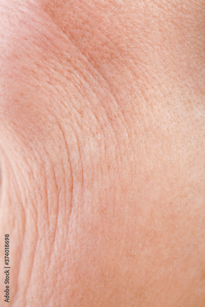 Fototapeta premium シニア女性の肌