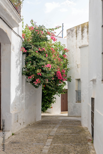 Vejer de la Frontera. Typical white village of Spain in the province of Cadiz in Andalusia, Spain