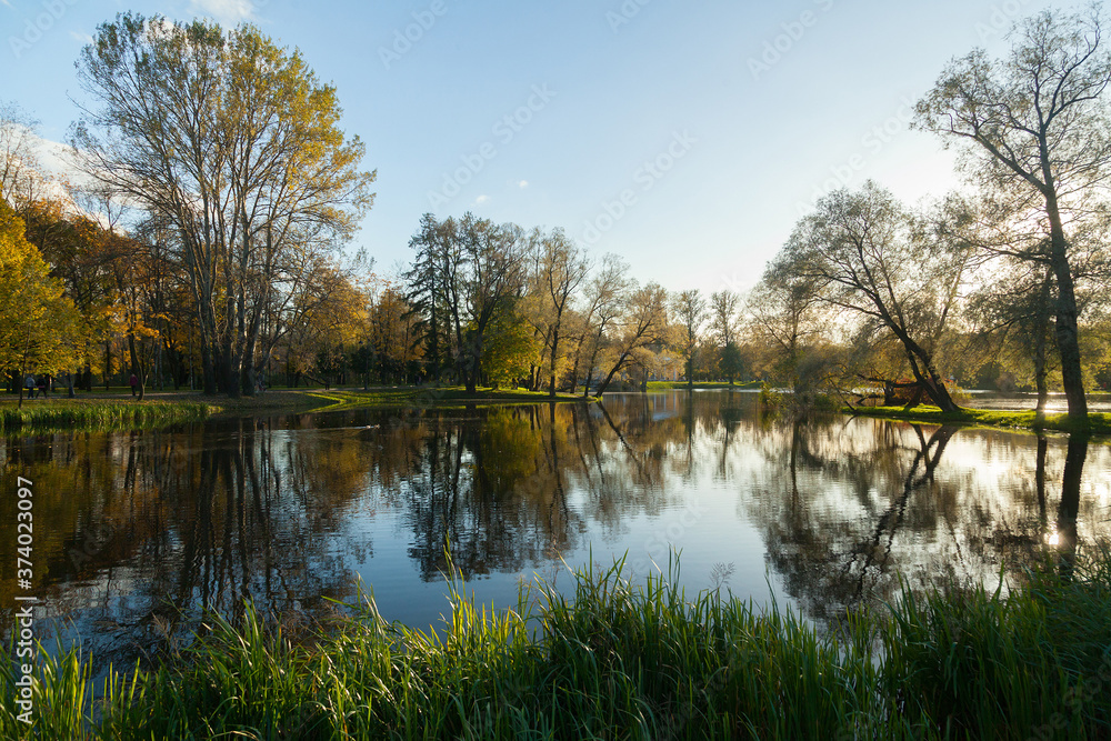 Fototapeta premium Autumn park landscape with bright trees