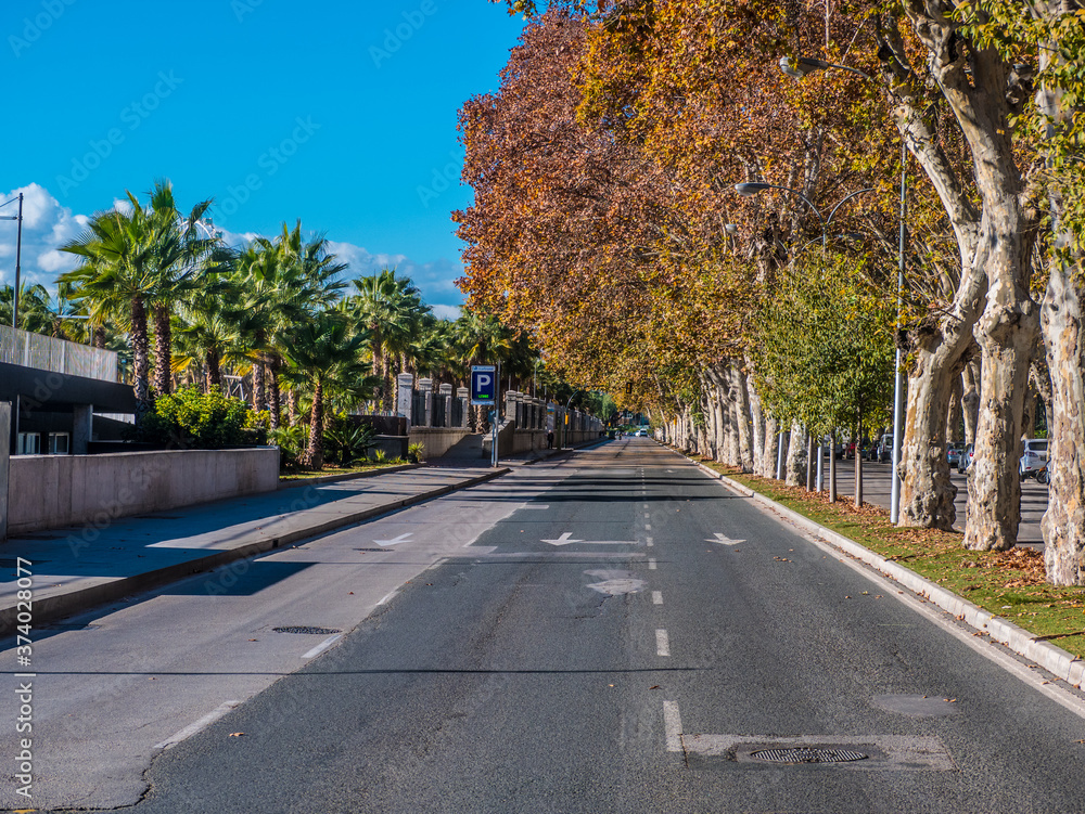 Empty avenue in Malaga with autumn trees.