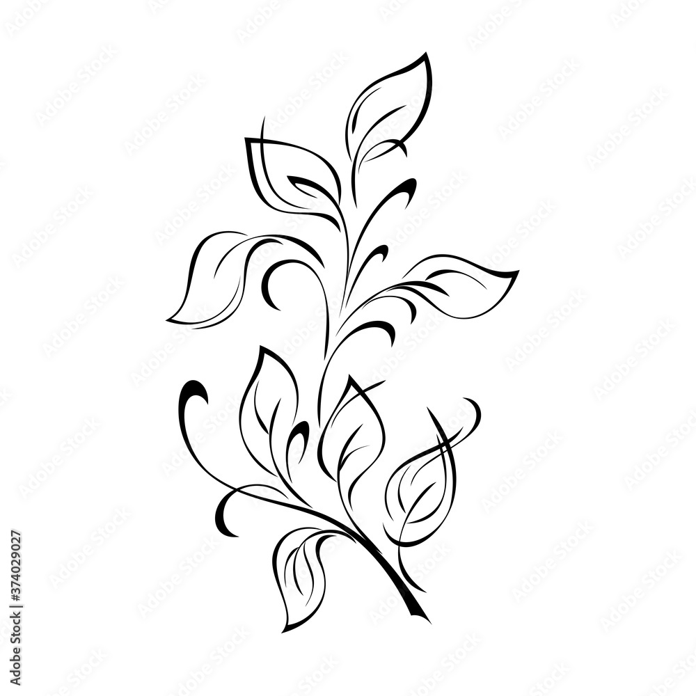ornament 1281. stylized twig with leaves and curls in black lines on a white background