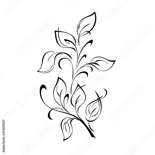 ornament 1281. stylized twig with leaves and curls in black lines on a white background