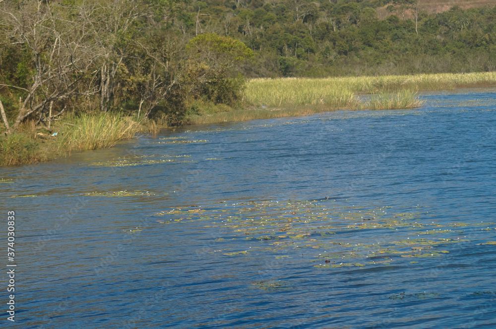 um belo e calmo rio com uma floresta ao fundo um belo e calmo rio com uma floresta ao fundo
