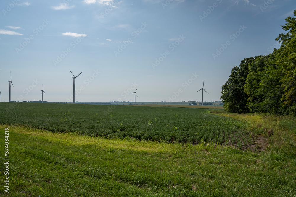Windmills on a Farm