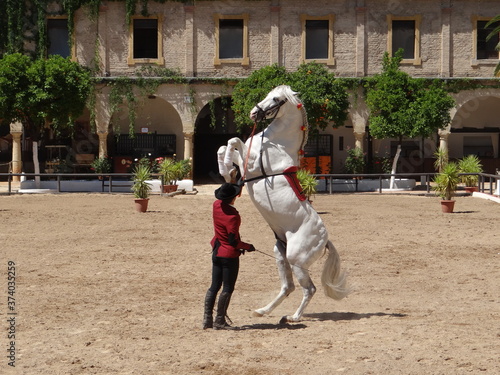 dancing horse jerez