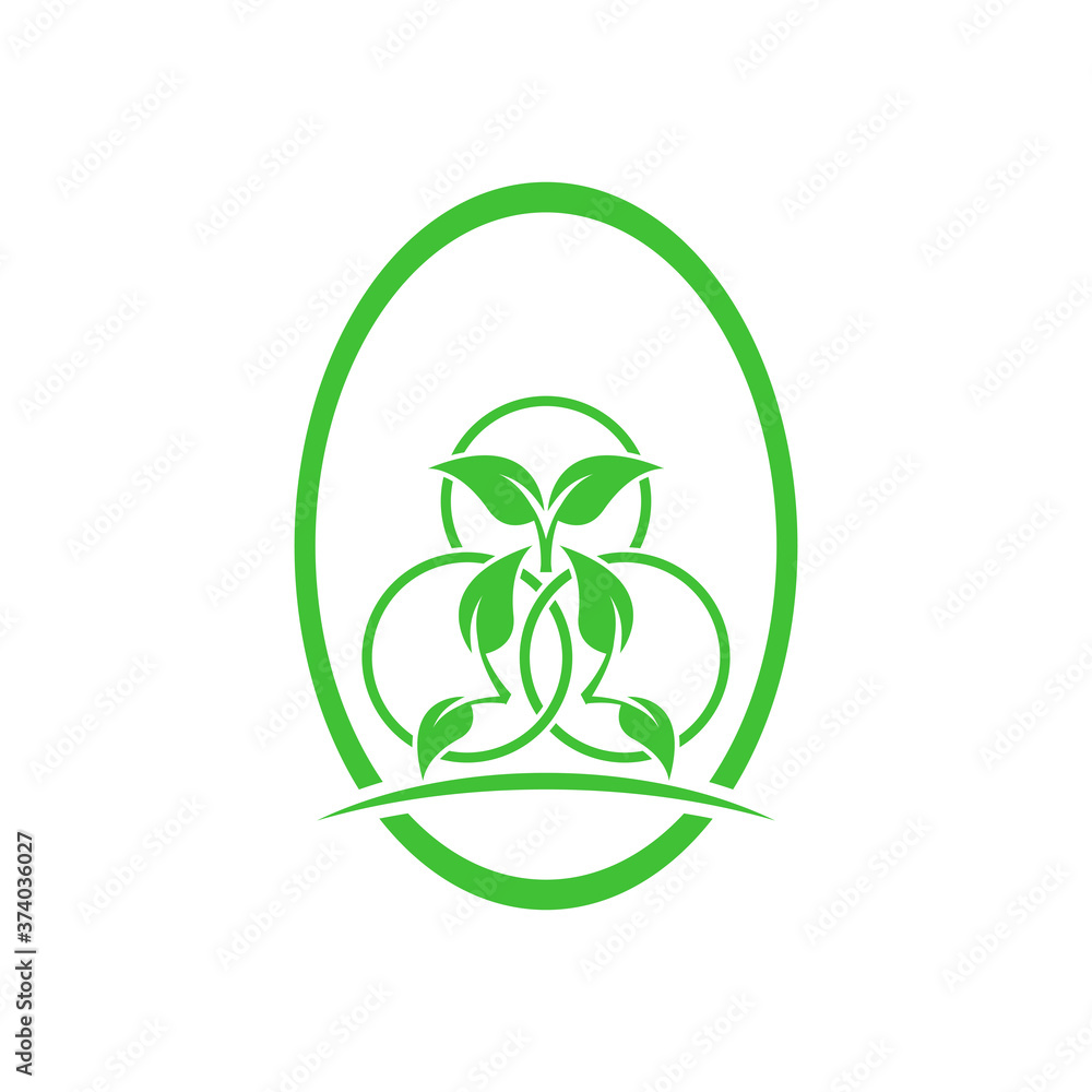 Plant leaf illustration Plant leaf illustration