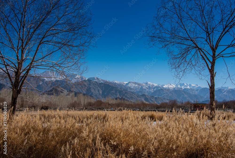 Leh Ladakh with mountains in Himalayas India. Leh Ladakh with mountains in Himalayas India.