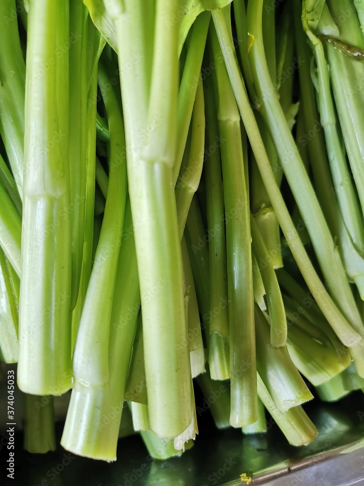 fresh vegetables used for cooking contain vitamins that benefit the body. fresh vegetables used for cooking contain vitamins that benefit the body.