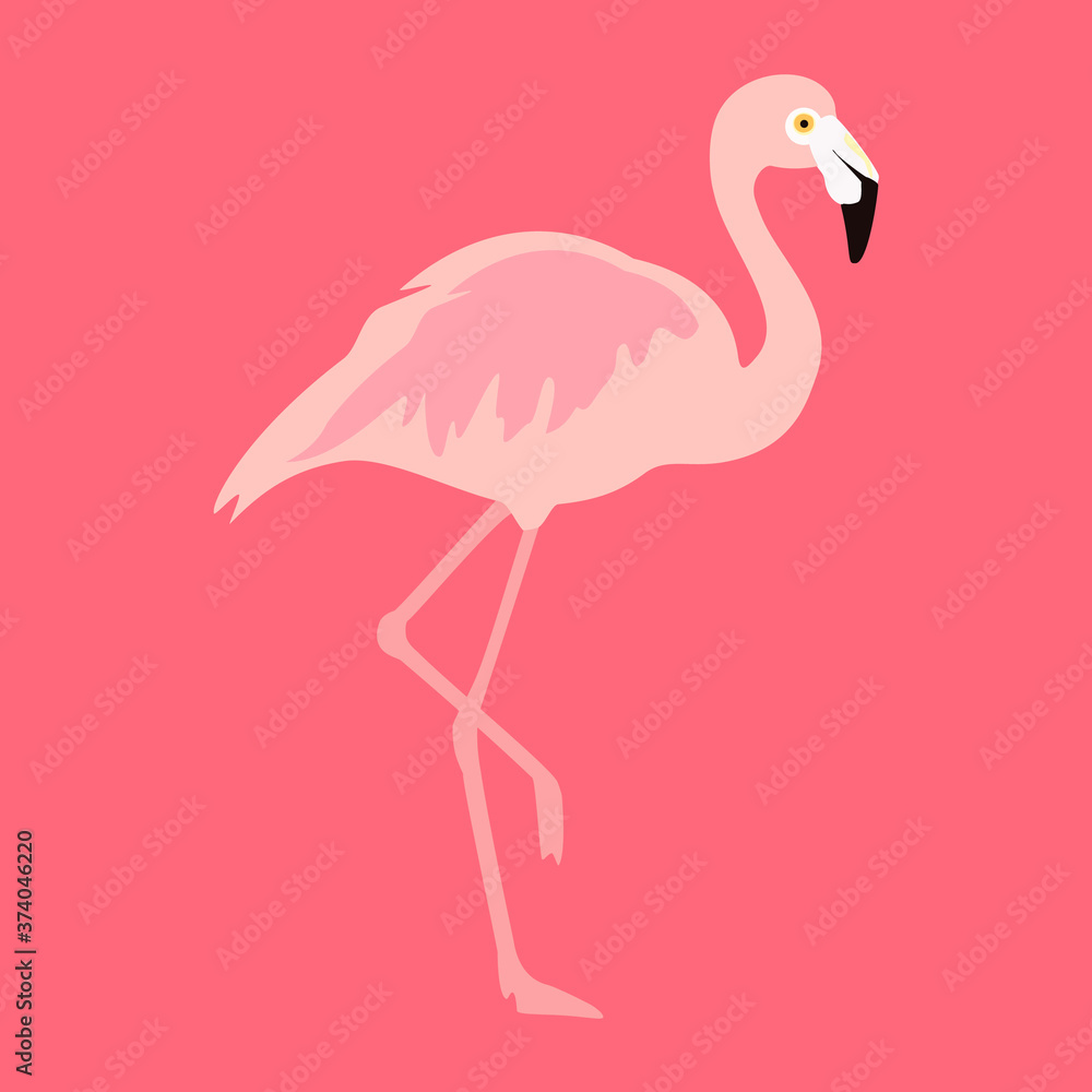 Fototapeta premium Flamingo tropical bird isolated on pink background