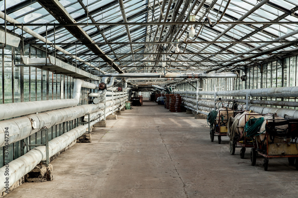 interior of a large glass industrial greenhouse for growing tomatoes