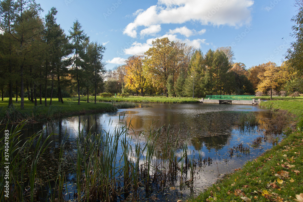 autumn park landscape autumn park landscape