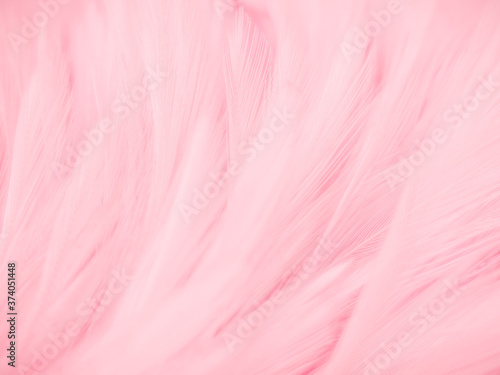 Beautiful abstract gray and pink feathers on white background, white feather frame texture on pink pattern and pink background, feather, pink banners