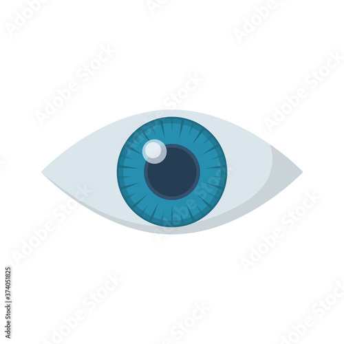 Eye cartoon icon. Human eye flat style. Vector design illustration. Isolated on white background.