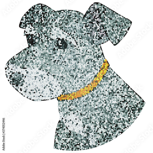 Miniature Schnauzer