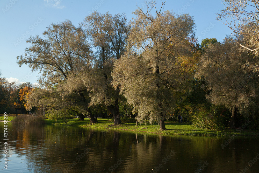 Autumn park landscape with bright trees Autumn park landscape with bright trees